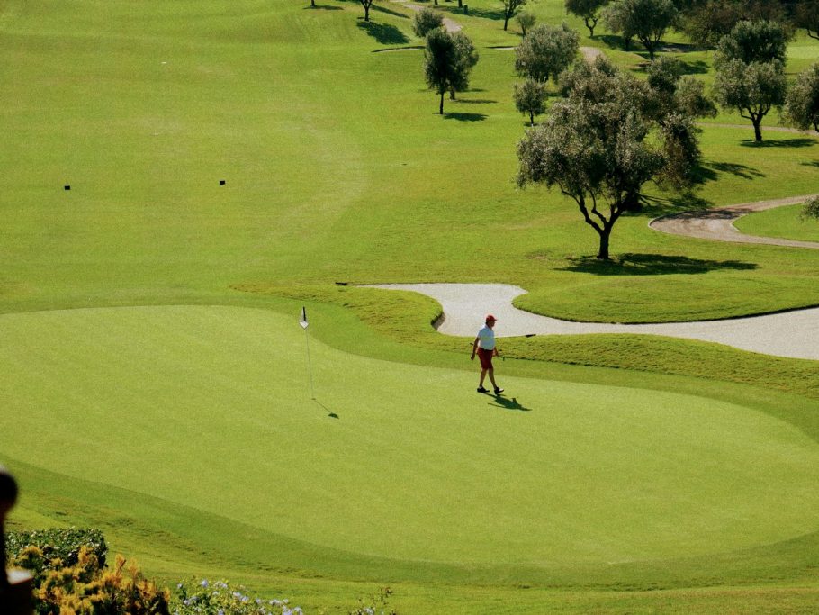 Jugador de golf en un campo verde, con árboles al fondo y un hoyo marcado.