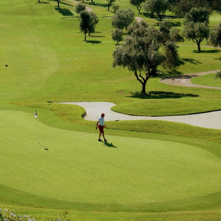Putt de golf en el green, con una bola frente al palo de golf.